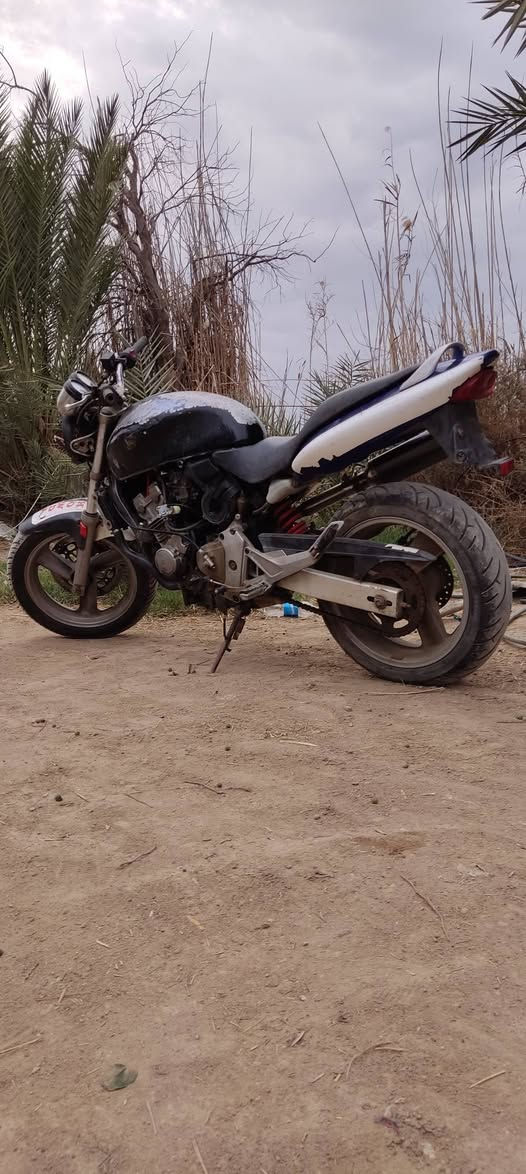 بيع او مروس
هوندا هورنت
مكينه جيس
تواير جيس
ضفيره بلاد
عقل مبرمج
وراق اصولي
فقط نقصها كابريترات
وصيغ لتاتكي تانكيها من جوه كزازه اي زنجار ماكو
كهربائيات كلشي شغاله
ناصريه
***********
