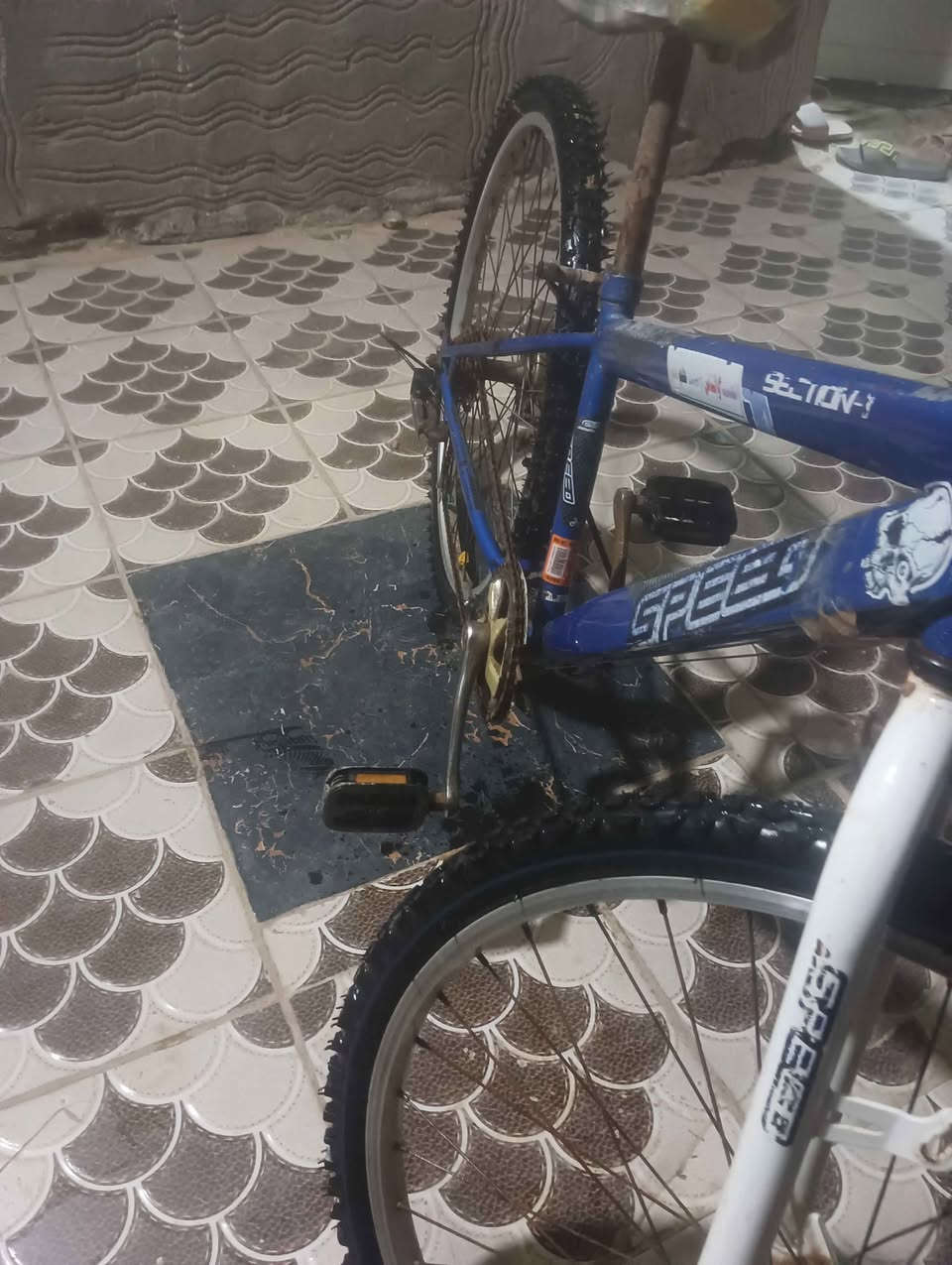 ‎السلام عليكم باسكل للبيع جبلي الباسكل نضيف تايرات وجوابه جدد‎ حلة, بابل


**إذا كنت صاحب هذا الإعلان وتريد حذفه لأي سبب، رجاءا أرسل رسالة إلى الدعم الفني**