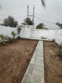 الشيخ حمد • ٥٠٠م • ملك صرف