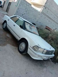 هارتوب طويل • اصلي • مراوس