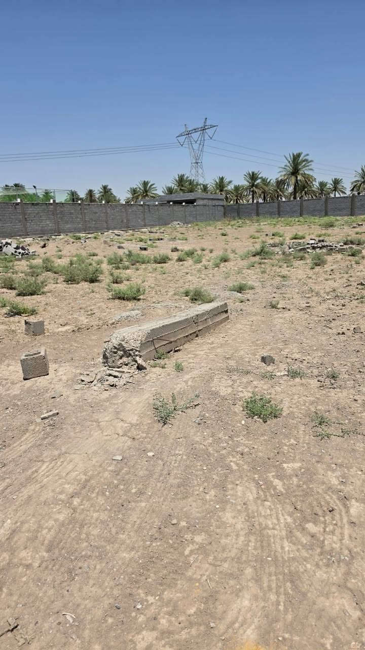 يوجد لدي دوانم البيع في بغداد ابو غريب منطقة ١٠ مناصير طابور زراعي سند ٢٥ التصال أو وتساب ***********
