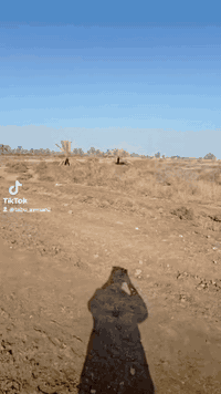 ────────────────────✦ 📢✨ إعــلان رقم 828 ✦────────────────────✦  🌾 خمس...