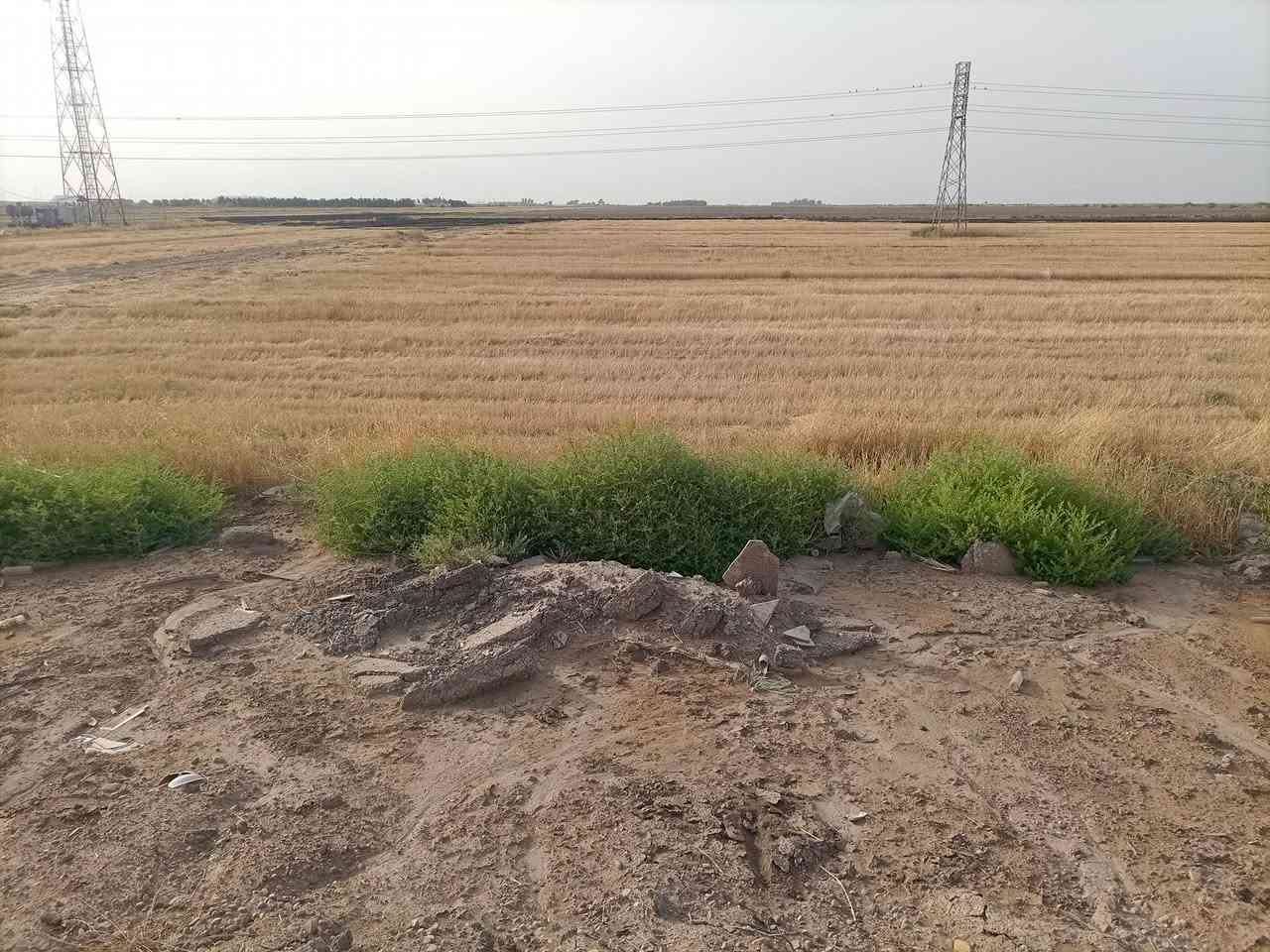 السلام عليكم.. 
دونم او نص للبيع طريق الزوار مقبل المطار قرب المغتسل 
الوجهيه 20 متر 
النزال 180 متر 
جنس الأرض عقد 25 
تلفون.. ***********
