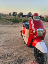 ماكس بوليس • بوشه ٥٥