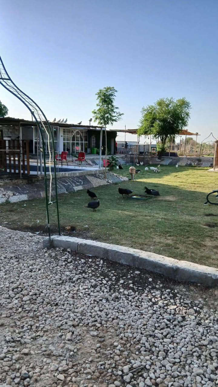 مزرعة مساحة دونم 2500متر  مع دار استراحة
طريق السنية السياحي قرب مدينة الحيوانات الجديدة (منتجع روشة).  2500م 
سند 25   مداور مباشر  
ماء كهرباء كل الخدمات 
السعر ب 65 قابل للتفاوض
للاستفسار خاص


**إذا كنت صاحب هذا الإعلان وتريد حذفه لأي سبب، رجاءا أرسل رسالة إلى الدعم الفني**