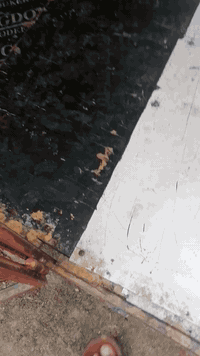 قفص حديد للبيع
العنوان بغداد المعامل
الطول 240
العرض متر
الارتفاع 190 مقوس
***********
