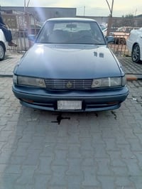 مارك عظم • مكفوله • الشاميه