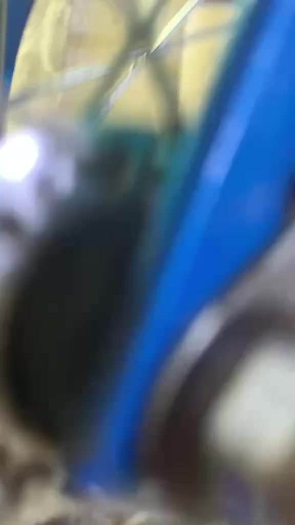 للبيع السعر بتاع الخاص اذا تريده 150 💁 اكو مجال 💁


**إذا كنت صاحب هذا الإعلان وتريد حذفه لأي سبب، رجاءا أرسل رسالة إلى الدعم الفني**