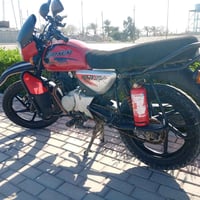 بوكسر 2023 • كفاله عامه • بغداد الشرايات