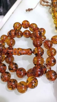 كهرب روسي • ذهب رجال • بيض الحمام