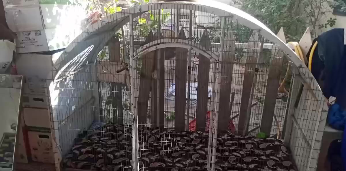 قفص طيور للبيع  طول متر و170 والعرض مترين مكانه شارع مجمعات


**إذا كنت صاحب هذا الإعلان وتريد حذفه لأي سبب، رجاءا أرسل رسالة إلى الدعم الفني**