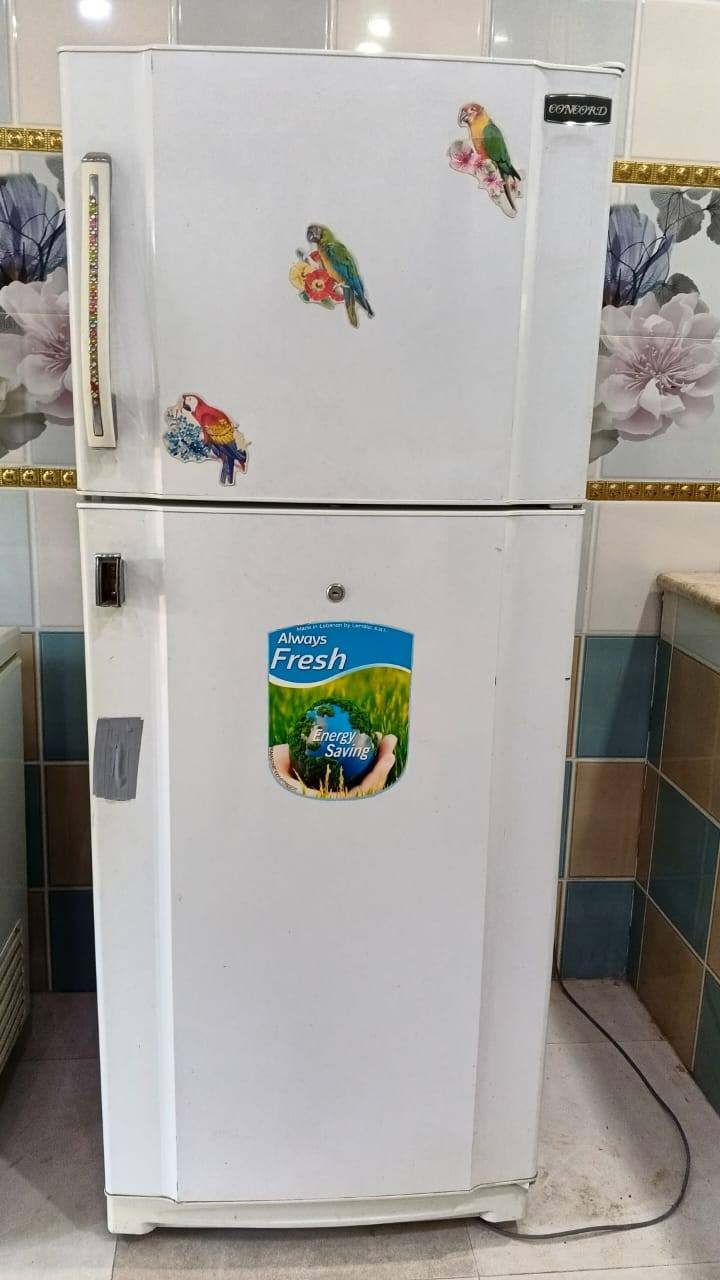 غرفه تركيه شبابيه نضيفه جدا جلسه فقط تجوه بدون دواشك***********
الرميثه الجديده
الغرفه ٤٠٠ وبيها مجال
ثلاجه ٢٥٠ وبيها مجال
مجمده ٤٠٠ وبيها مجال
جلسه ٢٠٠ وبيها مجال بغداد, العراق
