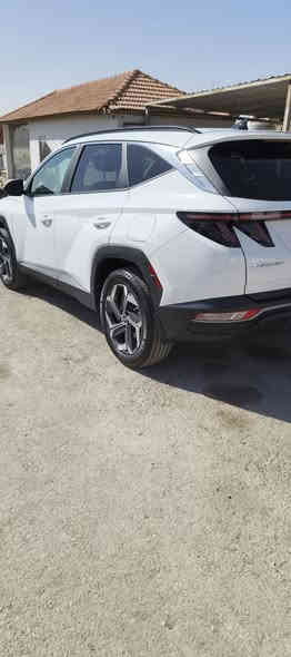 السلام عليكم للبيع فقط
هونداي توكسان   موديل 2024
لون ابيض وارد امريكي
 مواصفات السياره فول 

✅بصمه 

✅فتحه سلايد روف

✅كشنات جلد اسود ملكي 

✅شاشه كبيره + كامره دوراه 

✅كشن السائق فول كهرباء

✅تشغيل عن بعد +إطفاء ذاتي 

✅رادار امامي وخلفي وجانبي 

✅جنطه كهرباء

✅كشنات تدفئه

✅تحكم ستيرن +قياده ذاتيه 

✅ويل كب كروم حجم 19 

✅مكينه 2500 

✅بصمه أبواب + اشاره ترحيب عن الاقتراب 

✅داخل لونين

✅تبريد قطعتين
✅ توقف ذاتي 
السياره ماشيه  13 mi زيرو 
وباقي المواصفات المعروفه 
حادث موضح بصورة غشم جاملغ وخشم باب فقط وباقي كفال . .... 
سيارة 🚗 حاليا ب عمان الحرة تدخل بسم مشتري حرة او كتاب شهداء، عنوان 
شارع فلسطين قرب نادي تركمان شركة ناقل الفضي استفسار، ***********
سعر 162 حره
