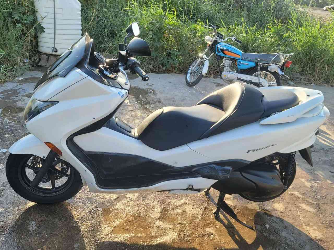 سلام عليكم شباب فوزه 0/10البيع دراجه خير من الله دراجه مكفولة كفاله عامه تجي وسوف بعينك وبيك خير ودلل الاستفسار هذ رقمي ***********وبيك خير ودلل
