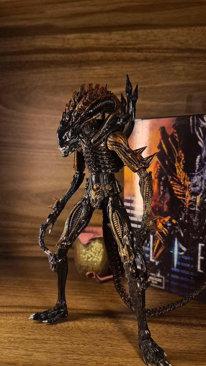 متوفر Neca Aliens action figures 🔥🔥🔥🔥
المجموعة الثانية
.
تزامنا مع صدور مسلسل Alien : earth 
نعرض لكم مجموعة مجسمات مفصلية من مختلف اصدارات السلسلة الشهيرة Alien
.
الاسعار للقطعة ٢٠ ألى ٣٥ الف حسب القطعة 
للطلب مراسلة الصفحة 
.
توصيل لجميع محافظات العراق 
تابعوا الصفحة للاطلاع على باقي المجسمات التي سيتم نشرها🔥


**إذا كنت صاحب هذا الإعلان وتريد حذفه لأي سبب، رجاءا أرسل رسالة إلى الدعم الفني**