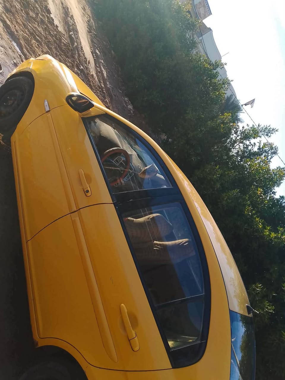 مكلف بالنشر 

سيارة اكسنت 2007 رقم مثنى سنوية ل2030
السيارة بيهه طخات بسيطة مكانها الديوانية قضاء السدير سعرها 67$ وبيها مجال

***********
*********** ديوانية, القادسية
