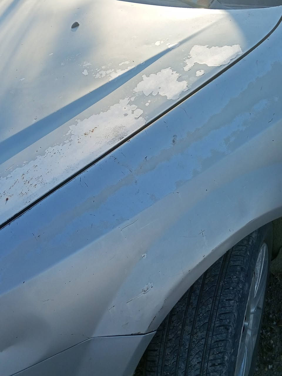 السلام عليكم ورحمه الله وبركاته اوبترا 2006 للبيع مكان سامراء حي المثنى كير ومحرك مال قصه البارحه شديتهن بشرط ترايها لمكه المكرمه كهربائيات تدفيه تبريد شغالات كهربائيات من الدعم الى الدعاميه شاشه كاميرا اوتوماتيك فول بلادي السياره ما مصبوغه بلاديه لايت زنون السعر 70 بها مجال للشراي 0772752365


**إذا كنت صاحب هذا الإعلان وتريد حذفه لأي سبب، رجاءا أرسل رسالة إلى الدعم الفني**