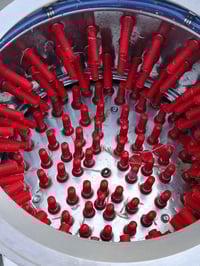 صماطه دجاج • مذبحه دجاج • عربانه لبلبي