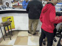 للبيع ميز محل مكون من قطعتين مع عارضه  مكونه من قطعتين موصل الدواسه ***********
