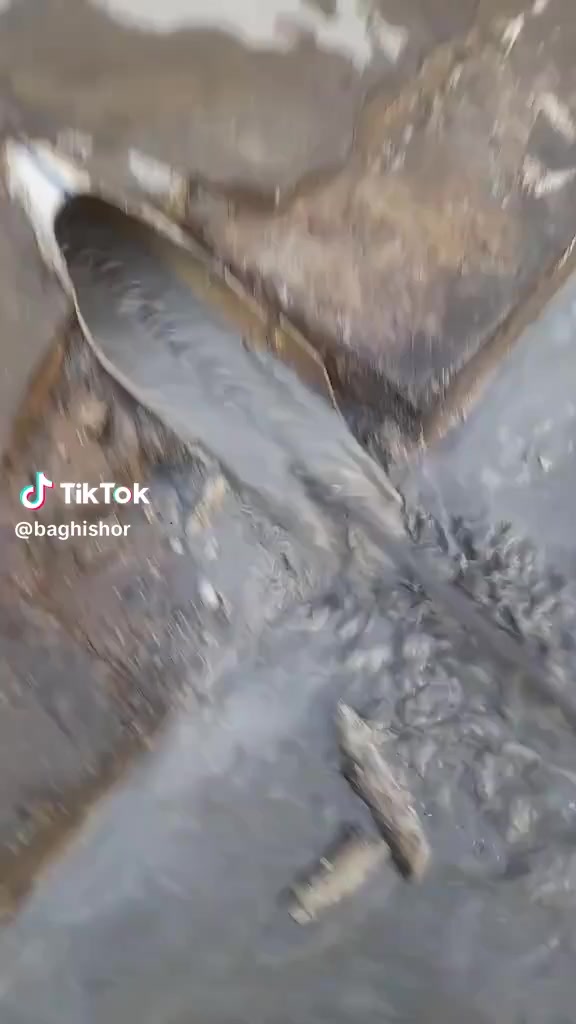 فتح مجاري في كركوك شد خلاطات وكاكات تئسيس بواري تئسيس المجاري تصليح المجاري    فتح كافة المجاري اي انسداد بالمجارياتصل ***********اني اجيك للبيت شرط يفتح اذا مايفتح ماخذ منك ولا دينار تصليح المجاري تبديل البواري التالفه عمل منهولات تبديل كاشي الحمام هاذ رقمي وبخدمتكم اي وقت مفتوح  وه ستاى بورى و كردنه وه ى مجارى و نه هيشتنى بونى ناخوشى مجارى و چاره سه رى هه موو كيشه يهكى مجارى و مه نهوطل  اماده ين بينه ماله كانتان له هه ر كويه كبن. تنكر سحب فتح مجاري في كركوك  منهولات تبديل كاشي الحمام هاذ رقمي وبخدمتكم اي وقت مفتوح  وه ستاى بورى و كردنه وه ى مجارى و نه هيشتنى بونى ناخوشى مجارى و چاره سه رى هه موو كيشه يهكى مجارى و مه نهول  اماده ين بينه ماله كانتان له هه ر كويه كبنفتح مجاري في كركوك شد خلاطات وكاكات تئسيس بواري تئسيس المجاري تصليح المجاري    فتح كافة المجاري اي انسداد بالمجارياتصل ***********#***********اني اجيك للبيت شرط يفتح اذا مايفتح ماخذ منك ولا دينار تصليح المجاري تبديل البواري التالفه عمل منهولات تبديل كاشي الحمام هاذ رقمي وبخدمتكم اي وقت مفتوح  وه ستاى بورى و كردنه وه ى مجارى و نه هيشتنى بونى ناخوشى مجارى و چاره سه رى هه موو كيشه يهكى مجارى و مه نهوطل  اماده ين بينه ماله كانتان له هه ر كويه كبن. تنكر سحب فتح مجاري في كركوك  منهولات تبديل كاشي الحمام هاذ رقمي وبخدمتكم اي وقت مفتوح  وه ستاى بورى و كردنه وه ى مجارى و نه هيشتنى بونى ناخوشى مجارى و چاره سه رى هه موو كيشه يهكى مجارى و مه نهول  اماده ين بينه ماله كانتان له هه ر كويه كبن
