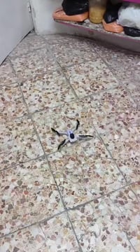 الكترونيات • بحالة زينة