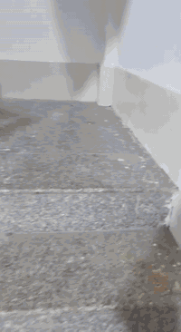 السلام عليكم 
شقتين للايجار بشارع ميثم التمار 
موؤثثة بالكامل 
مساحتها 125
ايجار الشقه الارضي 600
ايجار الشقه طابق ثاني 500
للطلاب فقط
