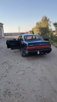 كراون • كربلاء • مكفولة