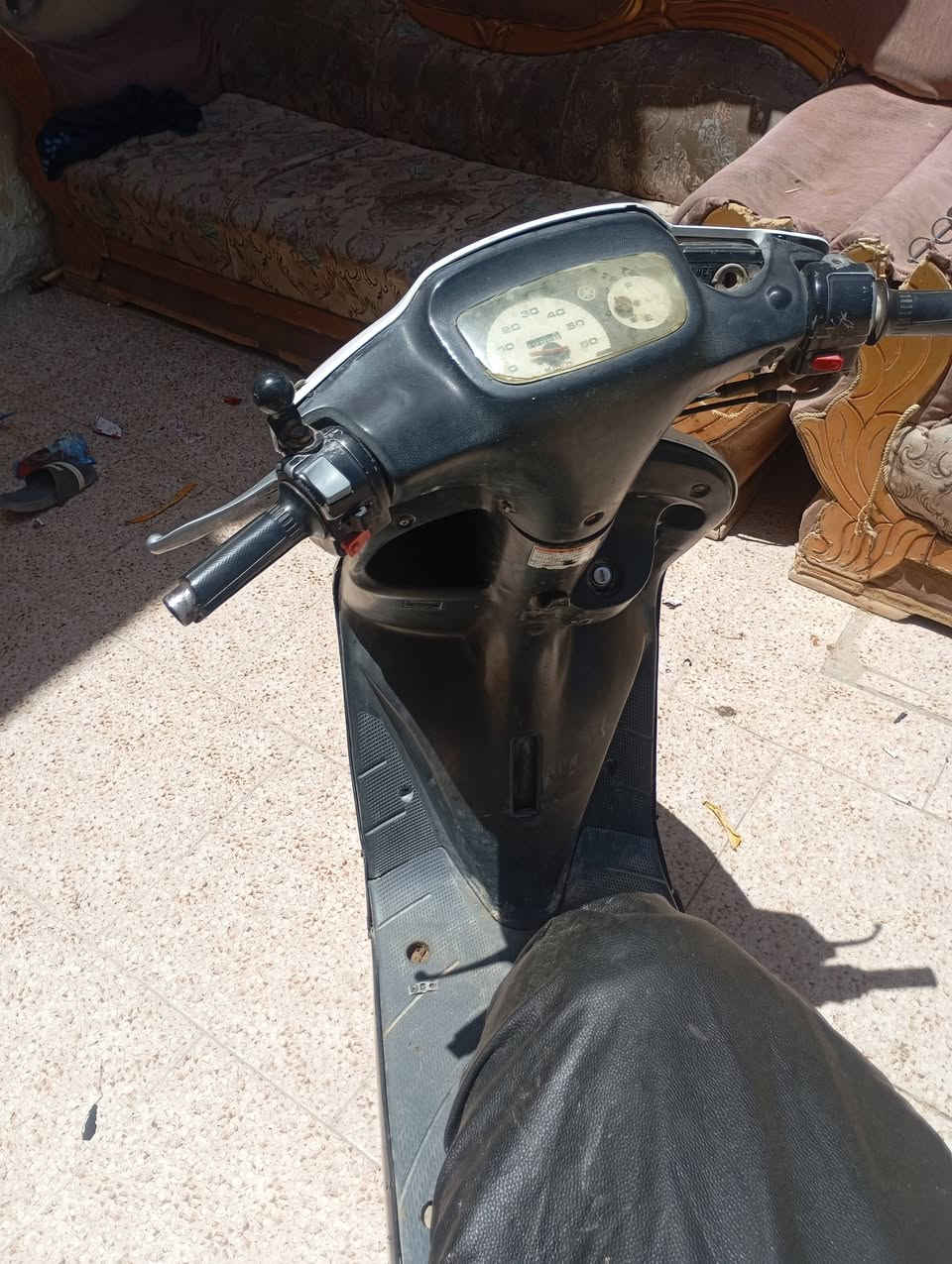 منغولي لبيع مابيه نقص ناصريه مركز شارع زياويه سعر250شراي ينتصل***********

