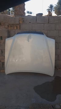 فره ملكه البيع بسعر مناسب 07825643906