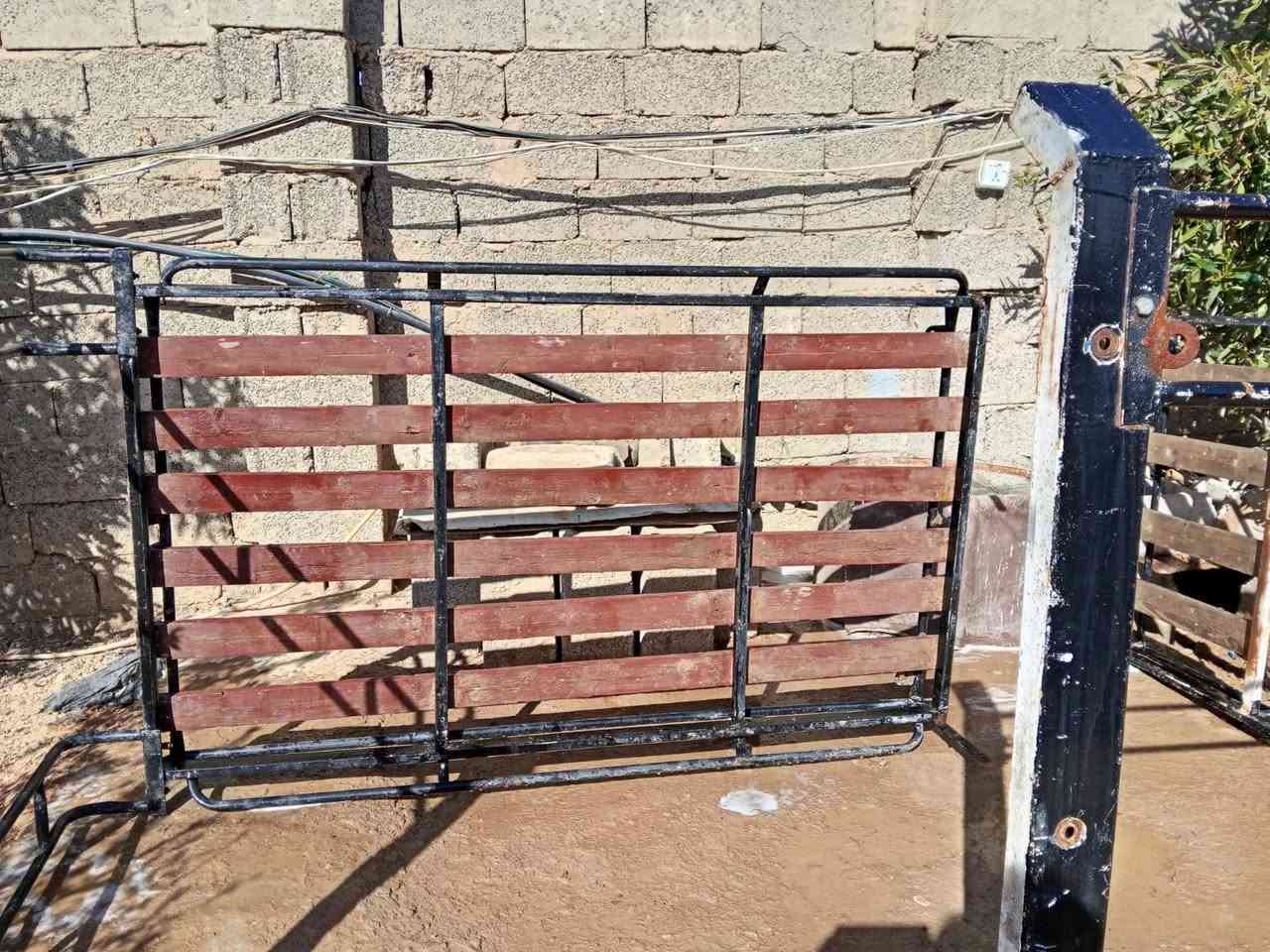 سيباية تفصال مال حمل العدد 2
سعر الوحده 100 وثنينهن 200وبيهن مجال حك الجية
***********
