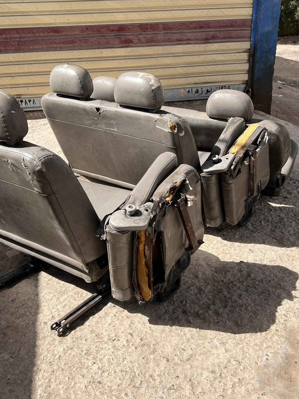 السلام عليكم كشنات منغولي للبيع مكان بغداد حسينية المعامل اتصال 📞 ***********
