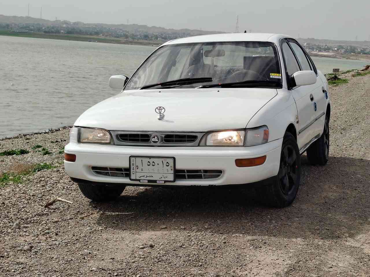 كورلا موديل 94 محور رقم ديالى
سياره جديده كلش كير محرك كفاله صدر كهربائيات تبريد دواخ


**إذا كنت صاحب هذا الإعلان وتريد حذفه لأي سبب، رجاءا أرسل رسالة إلى الدعم الفني**