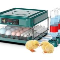 فقاسة بيض • جديدة • توصيل