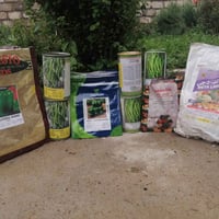 مشتل تجهيز الفلاح • شتل خضراوات • الموصل الحمدانية