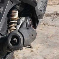 صالنصه • ثعلب بلادي • رياضي