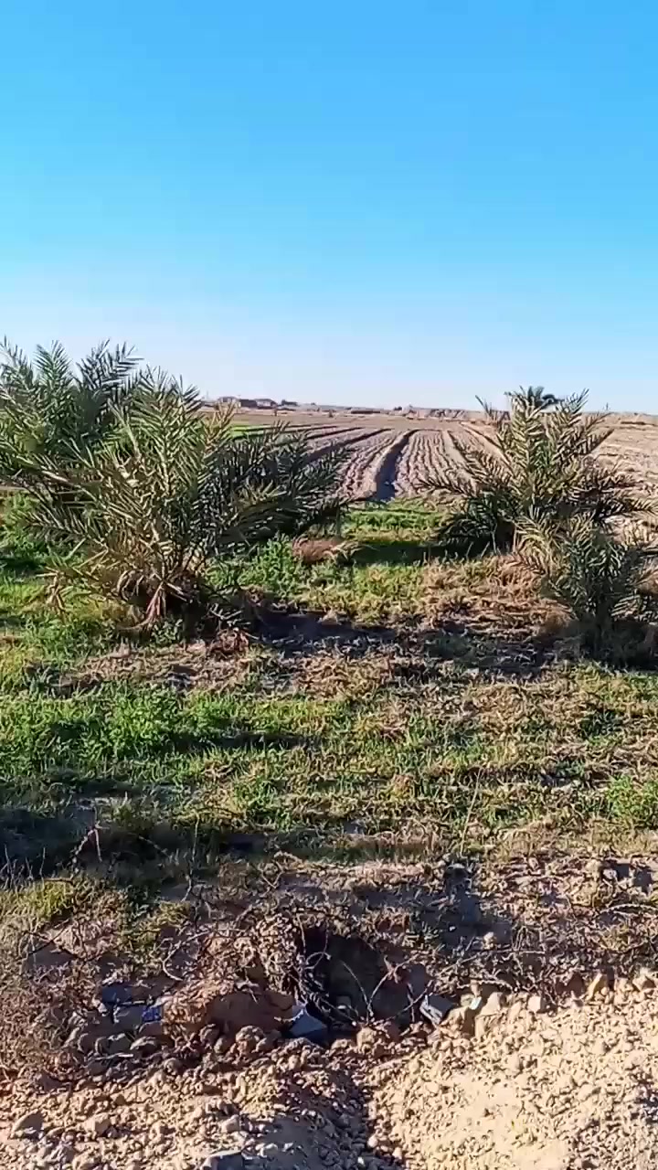 السلام عليكم ارض زراعيه سند 25 قريب ع سيطره30سايدين الكرمه سعر مناسب ممتازه للاستفسار***********////////***********
