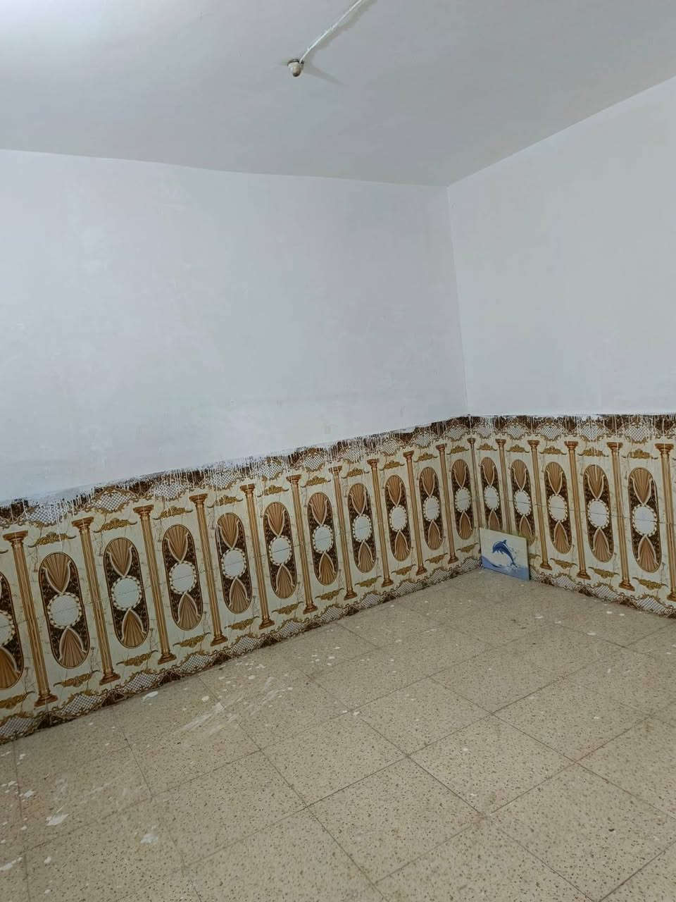 العرض. (1)
بيت (للبيع او لليجار)   بل عسكري الثاني. قرب مصور الخالدي)   ١٠٠ م مربع غرفتين جوه وصاله وحمام مطبخ وصحيات وغرفتين طابق ثاني مع صاله مع صحيات  عالي عن شارع عكاده.
للستفسار الاتصال او المراسلة علئ الرقم ***********☎
