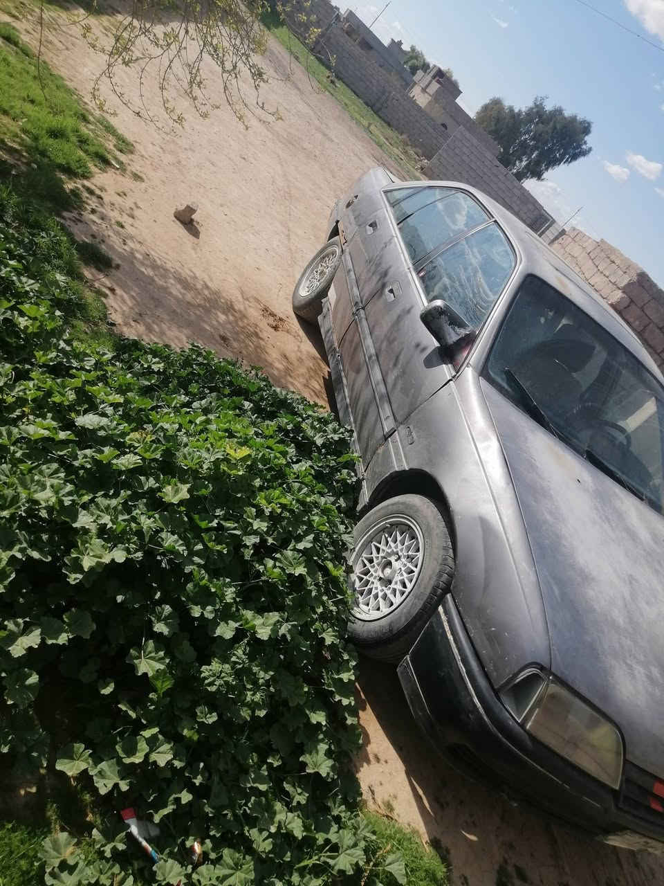 اوبل اوميگا حجم عشرين محرك شرط گير شرط وكاله شرط سياره جاهزه شقاله كلشي مايعوزه السعر 10اوراق والموشراي لايخارني ***********
