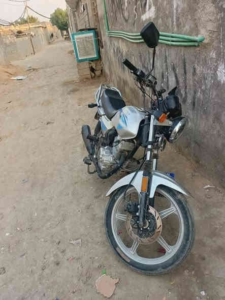 دايون عضم موديل 19 مكاني كربلاء الابراهميه سعر 900 اوراق اصولي ***********
