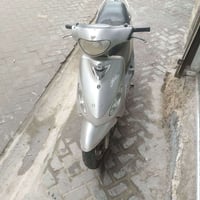 منغولي للبيع كله بلاديه مدينة الصدر الشراي يتصل‏‪07760282535‬‏