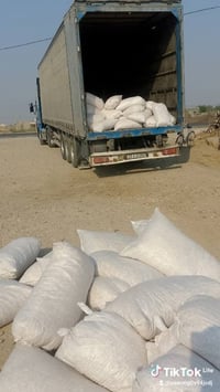 نشارة بيضة • درجة أولى • جيس فول
