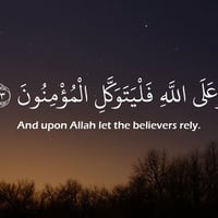 جميعا -بعد اذن ادارة الكروب  بيت مساحته 320 م طابو يقسم الى اربع  قطع ...