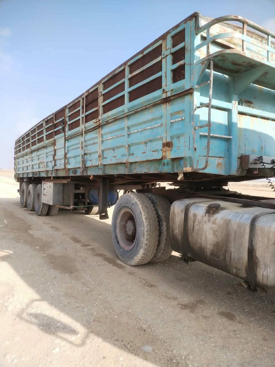 عربانه بلوم للبيع 
ثلاث دناكير ***********
