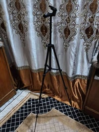 استان للبيع بل شعله سعره ١٥ الف على واتساب ٠٧٧١٣١٧٢٨٦٦