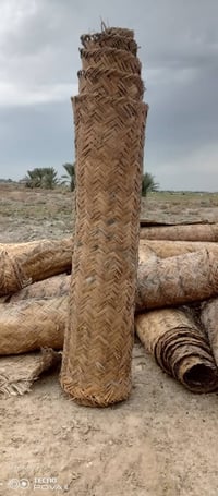 باريات قصب عدد ٦٠ طول ٦ وعرض مترين سعر لباريه ١٥ وذا تاخذهن شلع بيهن م...