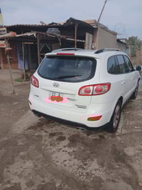 سنتافي • ٢٠١٠ • ٧ راكب