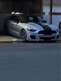 ايكوبوست بريميوم • ٢٠١٧ • تيربو ٢٣٠٠