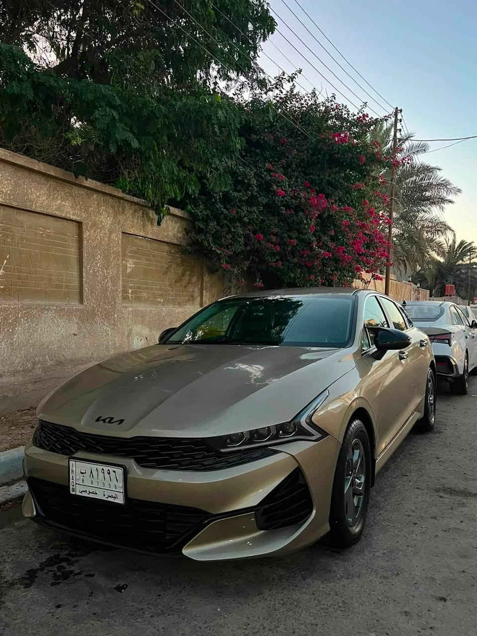 مكلف بنشر السلام عليكم 
كي فايف موديل 22 لون مميز وارد امريكي معوقين وكاله عامه بعد سنه او اقل تصير حرا ايرباكات كلهه سليمه اخوان صور الحادث مال امريكا بالمنشور وبالعراق صار بيهه حادث مثل الحادث الخلفي مال امريكا صندوك مصلح وراجع ميه بالميه وجاملغ بيهه قطعتين البنيد مبدل من امريكا وبالعراق مبدل جاملغ اصلي تفصيخ  والصندوك مصلح سعرها (163) وبخدمتكم تفاصيل اكثر اتصل او راسل واتساب / ***********
