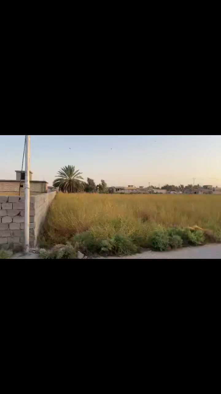 بْسم آلُلُہ آلُرحٍـمنْ آلُرحٍـيَم 
آلُسلُآم علُيَگم 
يوجد دونم طابو 25. واجه 37 ج
نزال 79خدمات كامله شرط ع فحص
ماء كهرباء سحب
تحويل ثاني يوم ع طابو ابي غريب
موقع بغداد/ابي غريب / قريه كاظم العذاب
الاستفسار اكثر اتصل ع رقم
***********
السعر 98 قابل للتفاوض
