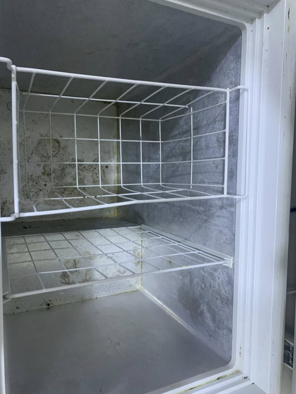 مجمده. بيه مشكلة الماطور عطلام.  حجم صغير
سعر 100 
البياع


**إذا كنت صاحب هذا الإعلان وتريد حذفه لأي سبب، رجاءا أرسل رسالة إلى الدعم الفني**